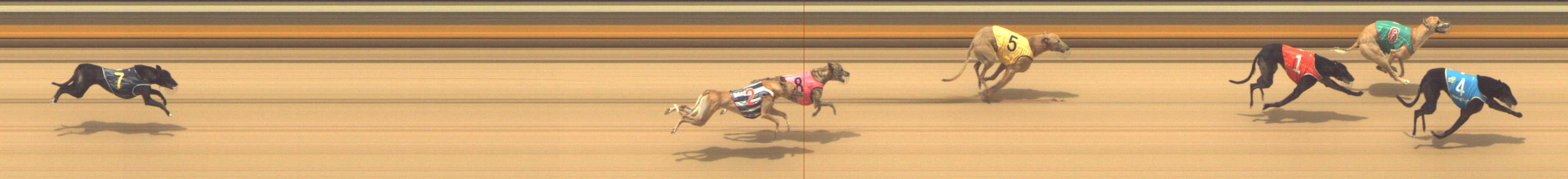 Photo finish for Shepparton Race 6