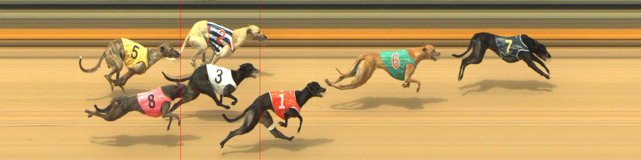 Photo finish for Shepparton Race 7