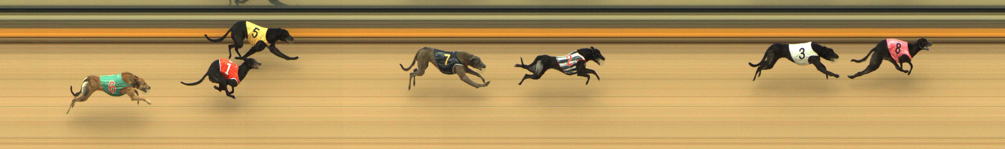 Photo finish for Shepparton Race 8