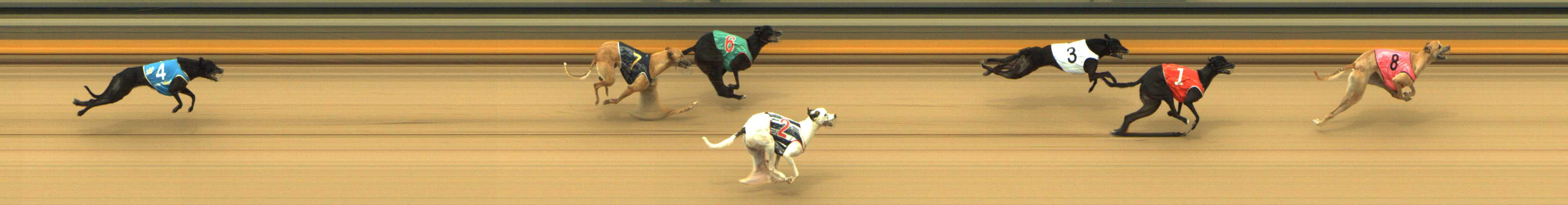 Photo finish for Shepparton Race 9