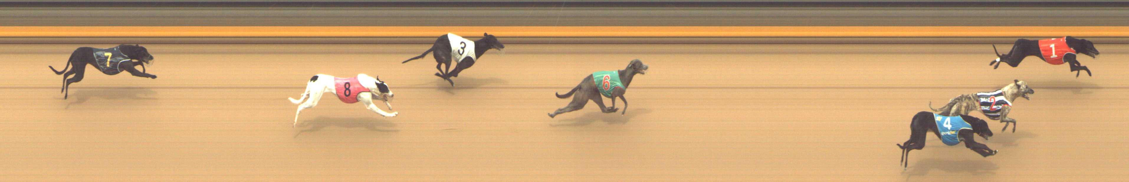 Photo finish for Shepparton Race 10
