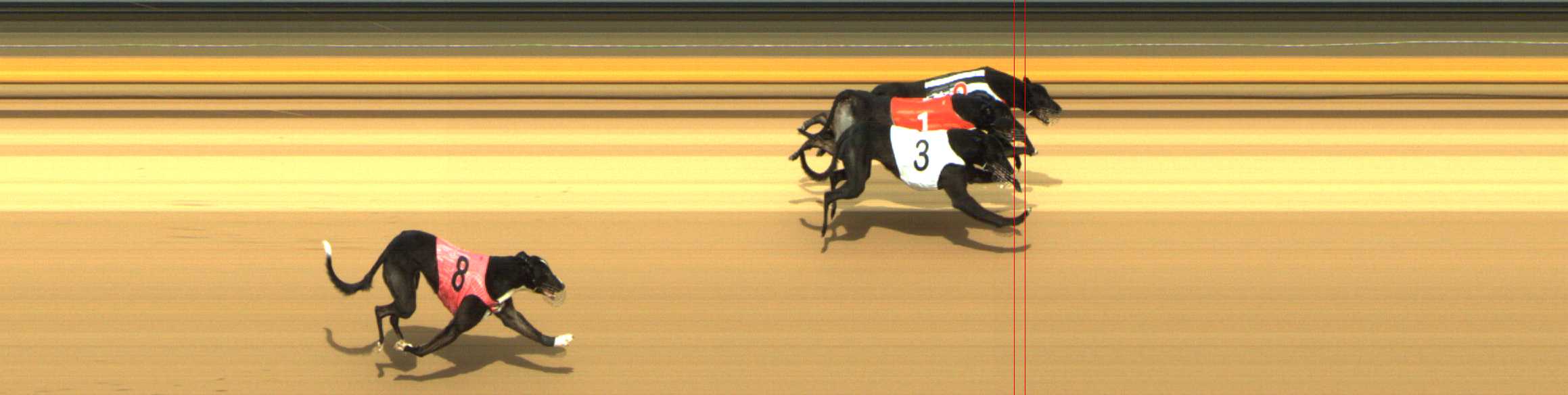 Photo finish for Shepparton Race 12