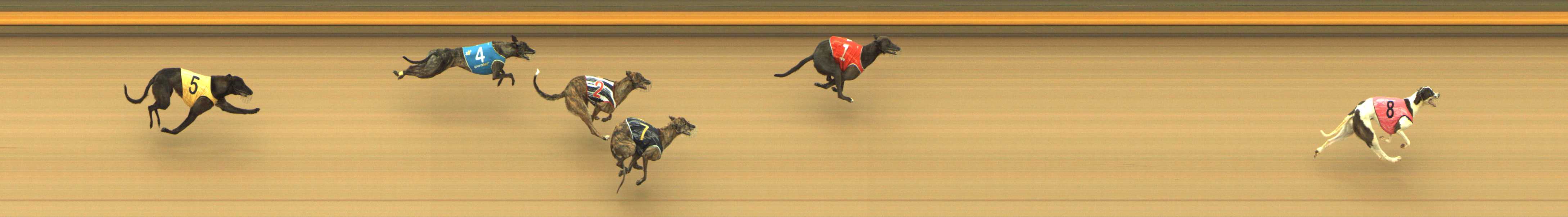 Photo finish for Shepparton Race 1