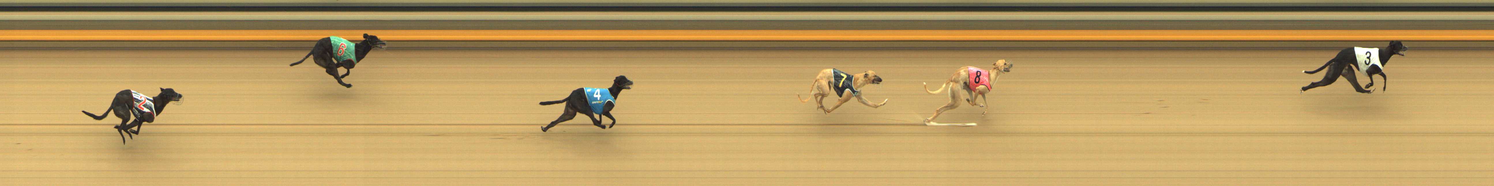 Photo finish for Shepparton Race 2
