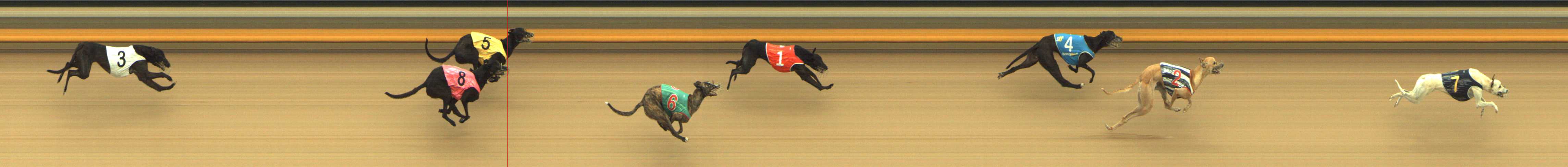 Photo finish for Shepparton Race 3