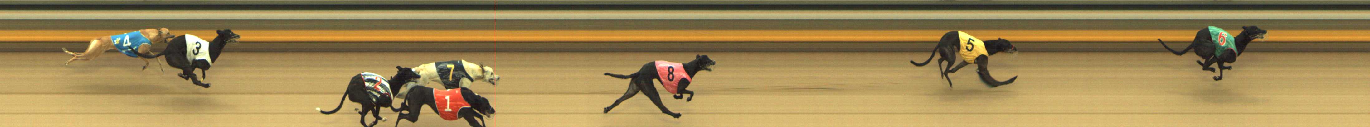 Photo finish for Shepparton Race 5
