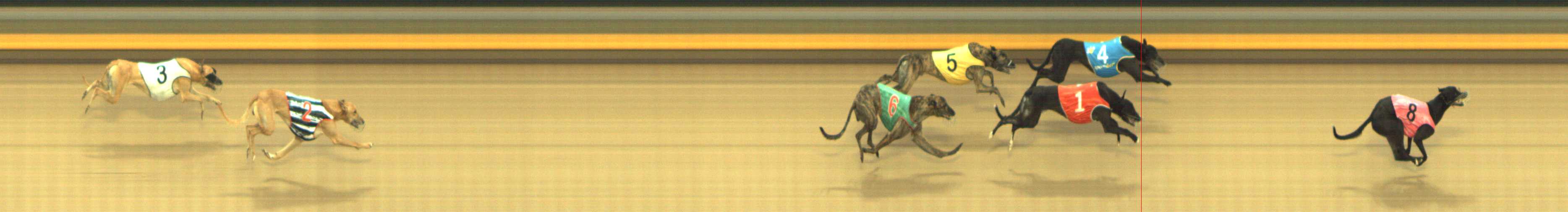 Photo finish for Shepparton Race 6