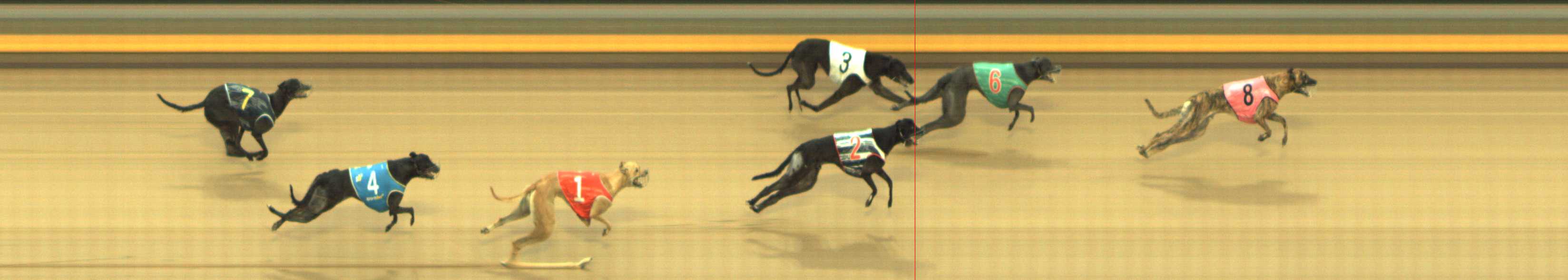 Photo finish for Shepparton Race 7