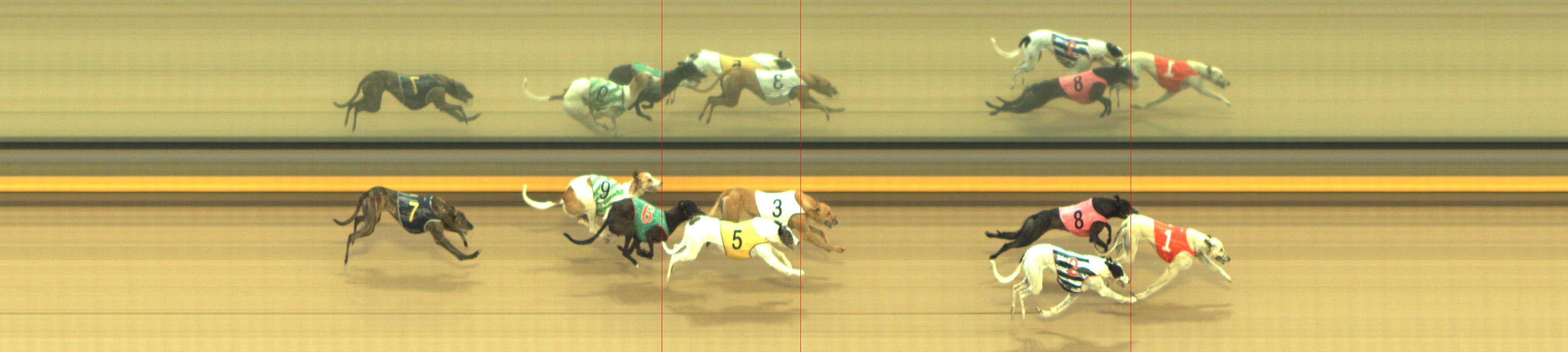 Photo finish for Shepparton Race 8