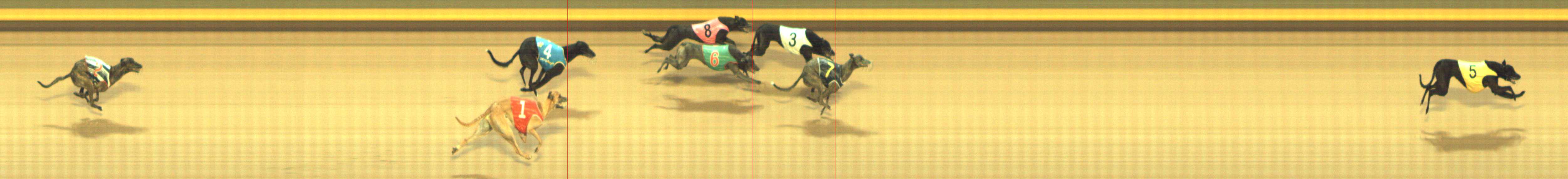 Photo finish for Shepparton Race 9