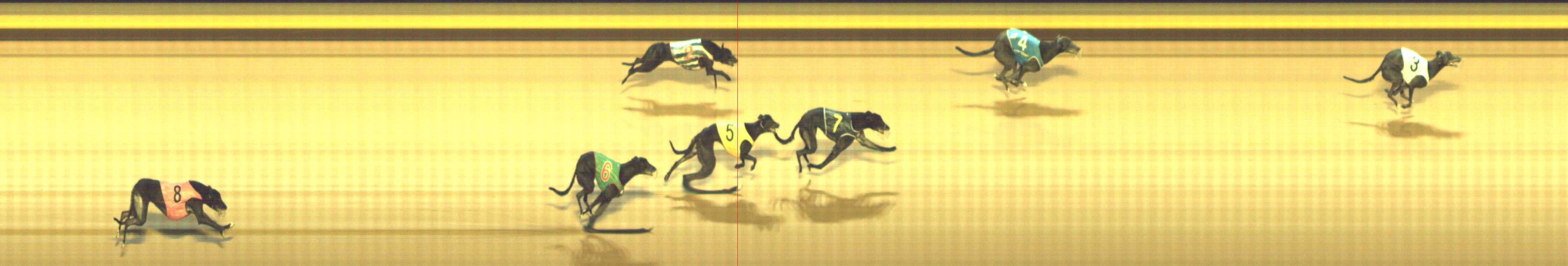 Photo finish for Shepparton Race 10