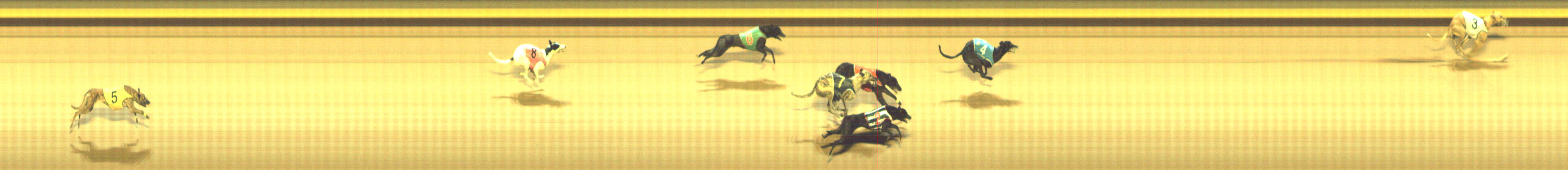 Photo finish for Shepparton Race 11