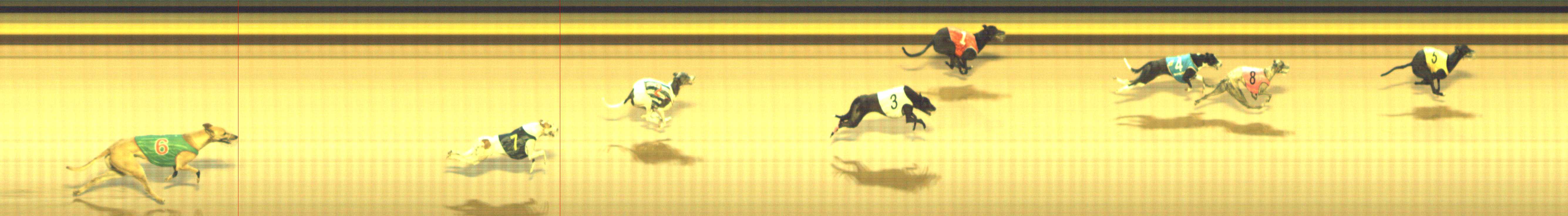 Photo finish for Shepparton Race 12