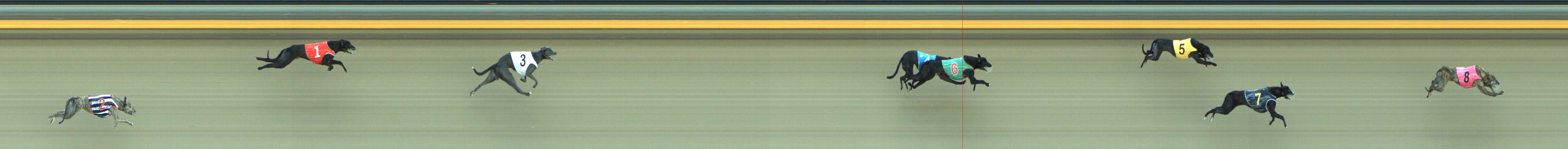 Photo finish for Shepparton Race 1