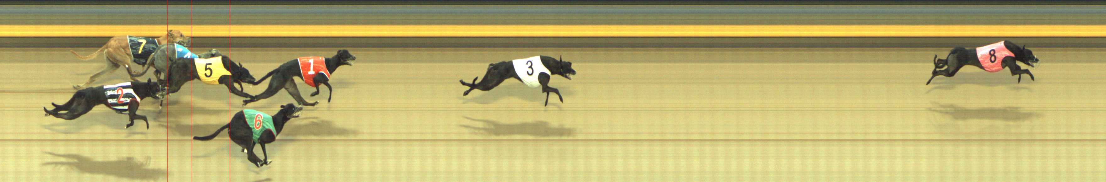 Photo finish for Shepparton Race 3