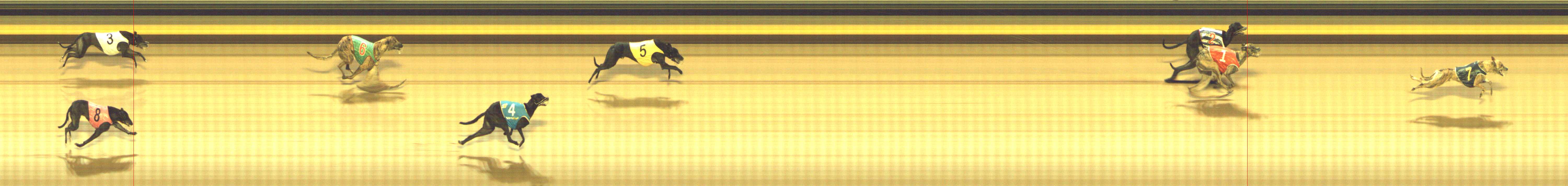 Photo finish for Shepparton Race 4