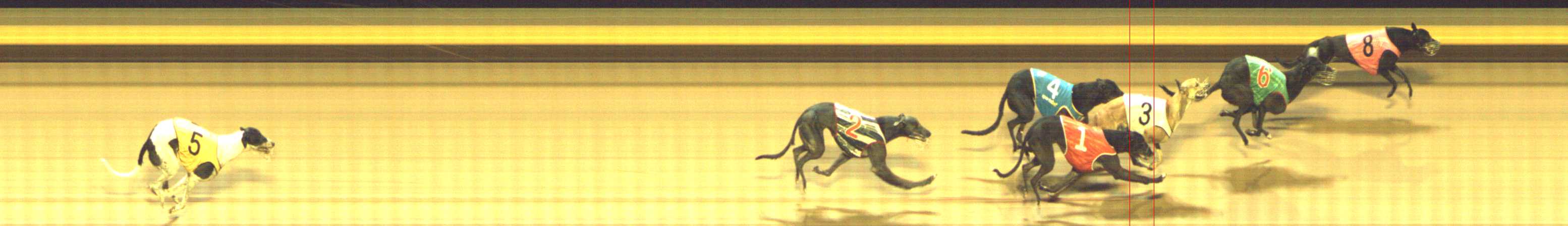 Photo finish for Shepparton Race 5