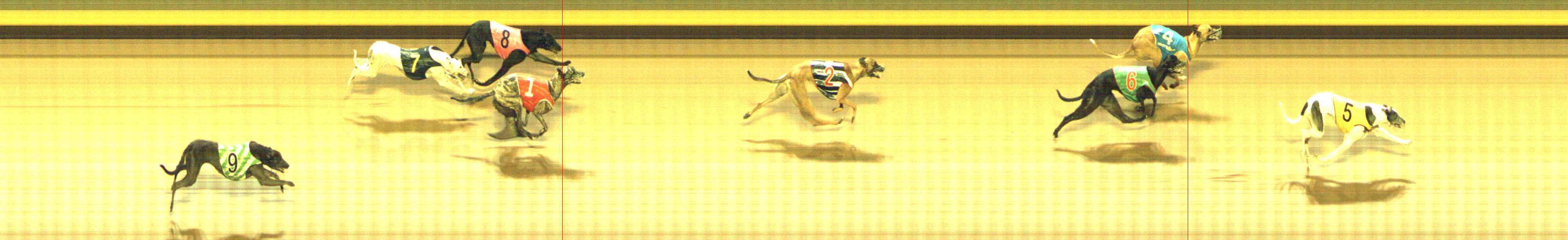 Photo finish for Shepparton Race 6