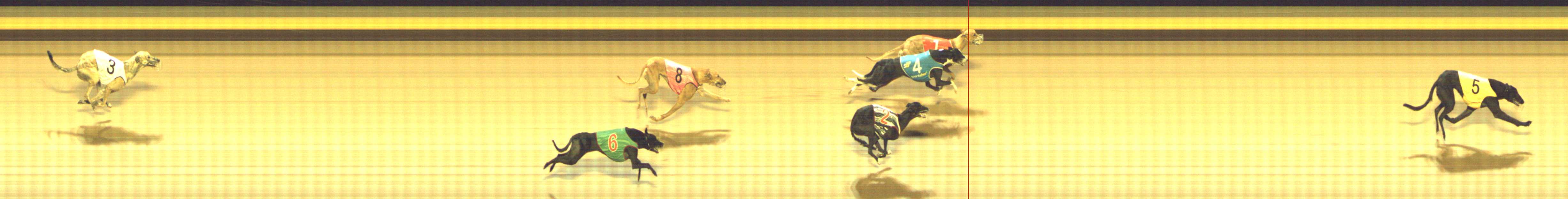 Photo finish for Shepparton Race 7
