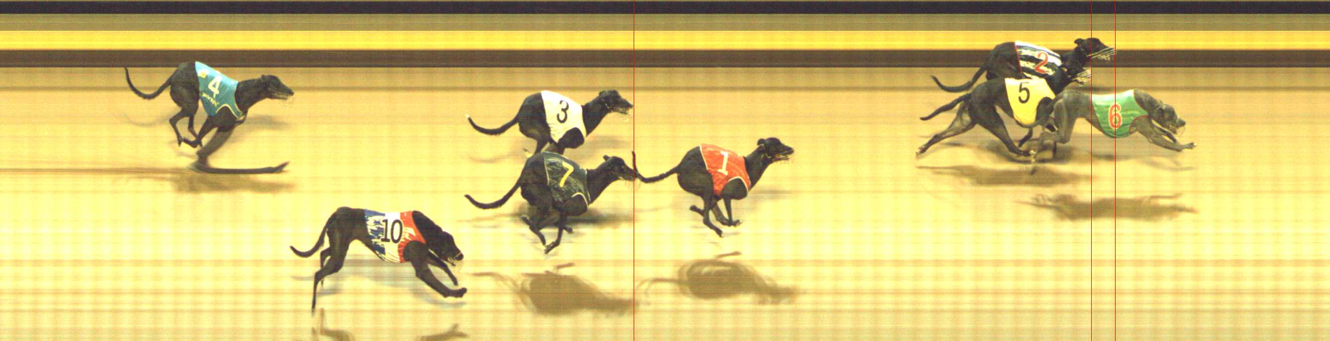 Photo finish for Shepparton Race 11