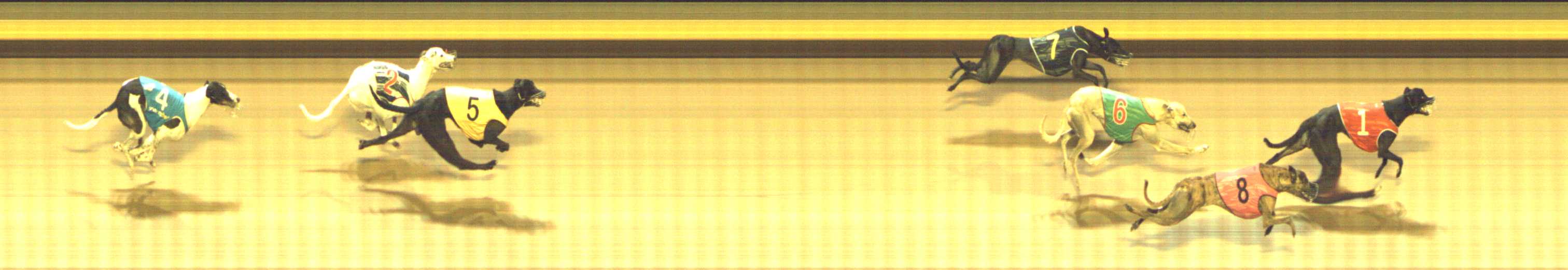 Photo finish for Shepparton Race 12