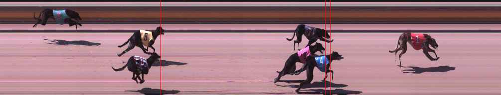 Photo finish for Shepparton Race 1