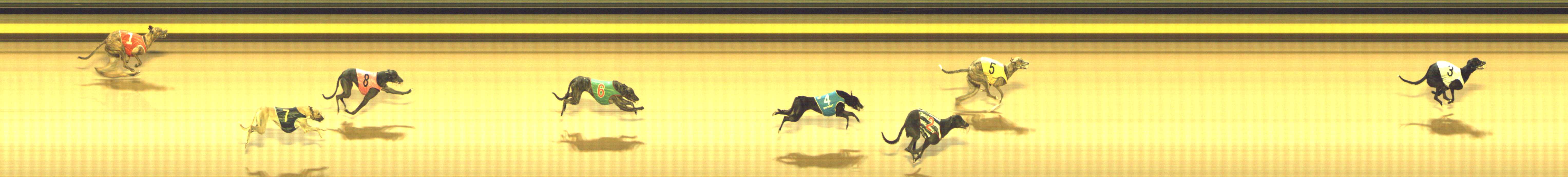 Photo finish for Shepparton Race 1