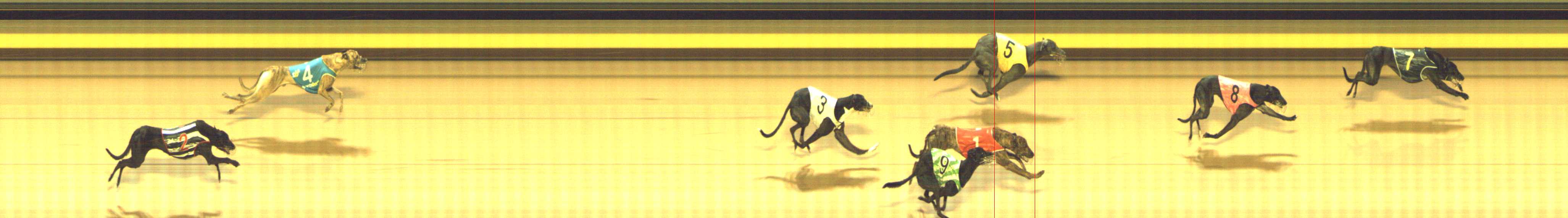 Photo finish for Shepparton Race 2