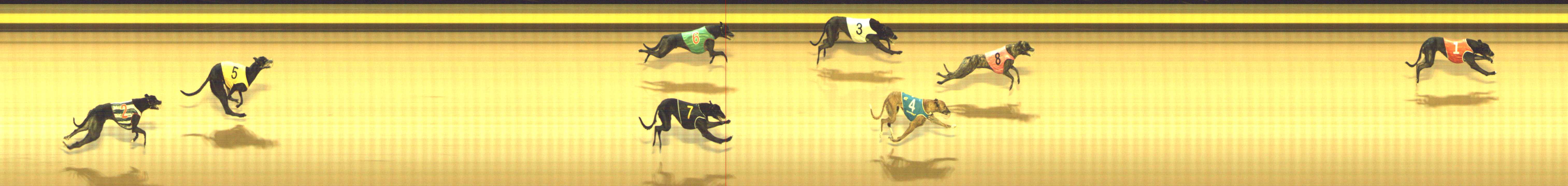Photo finish for Shepparton Race 3