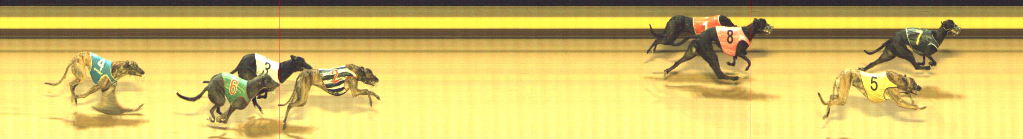 Photo finish for Shepparton Race 4