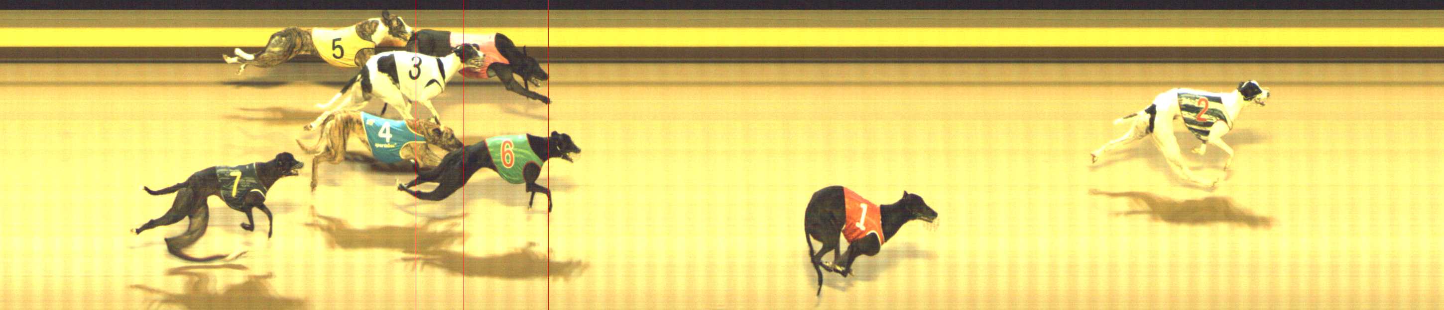 Photo finish for Shepparton Race 5