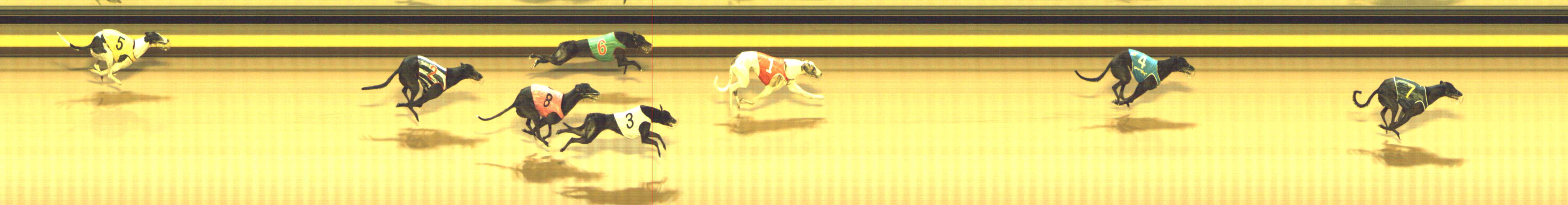 Photo finish for Shepparton Race 6