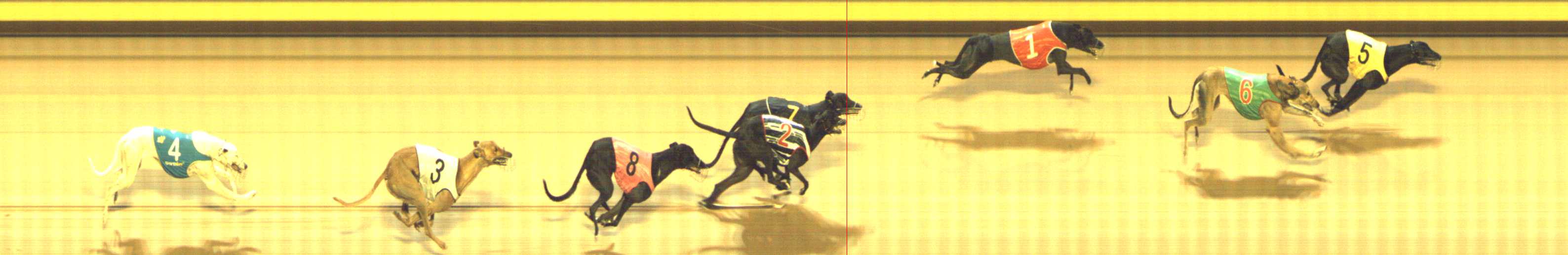 Photo finish for Shepparton Race 7