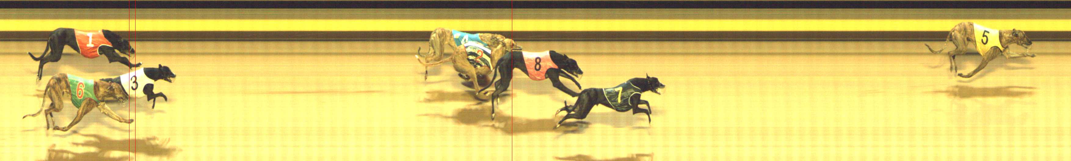 Photo finish for Shepparton Race 8