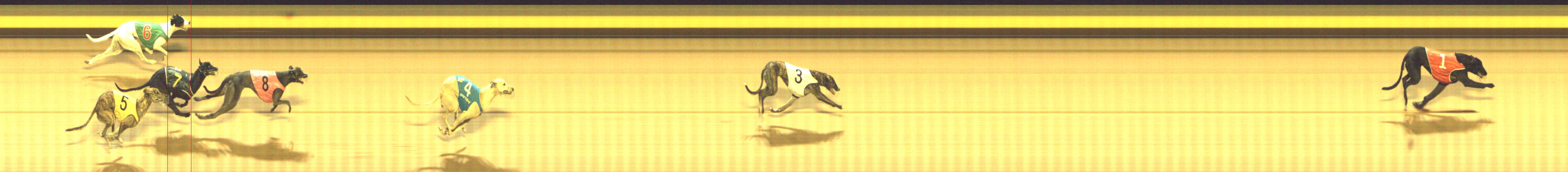 Photo finish for Shepparton Race 9