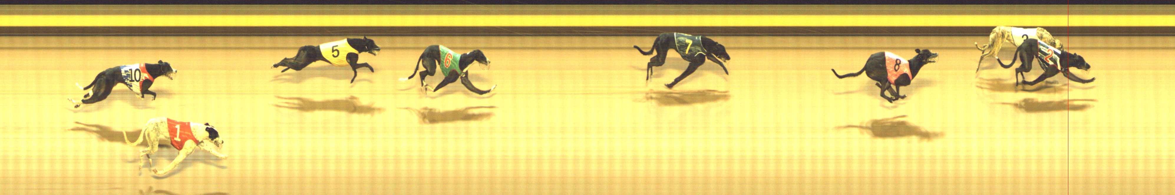 Photo finish for Shepparton Race 11