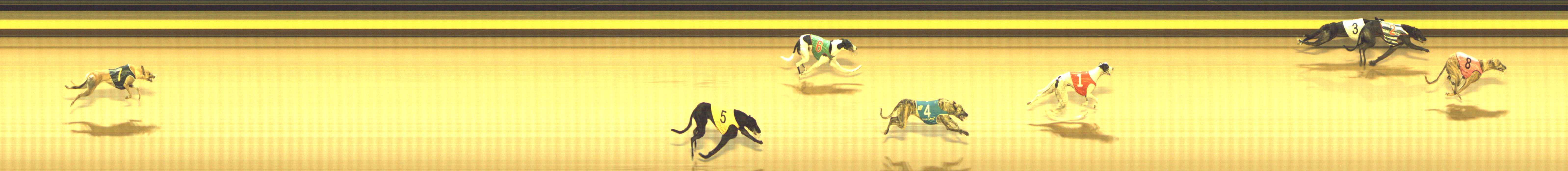 Photo finish for Shepparton Race 12