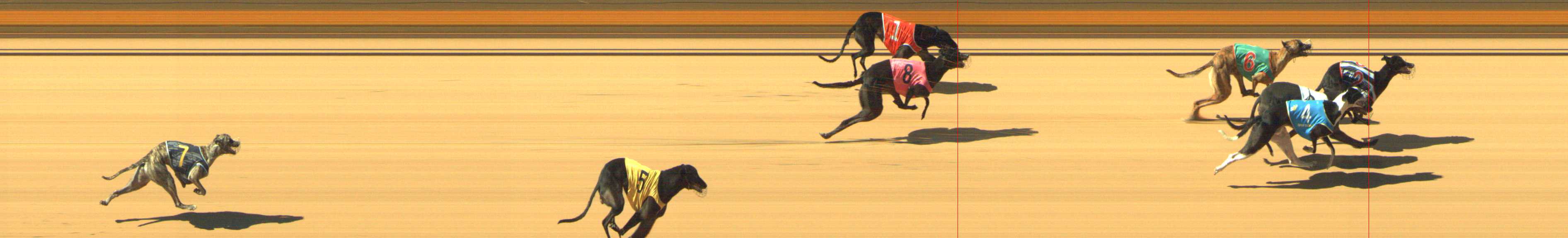 Photo finish for Shepparton Race 1