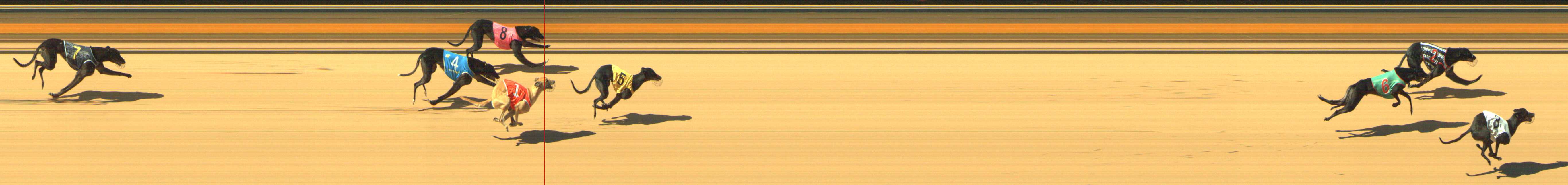 Photo finish for Shepparton Race 2