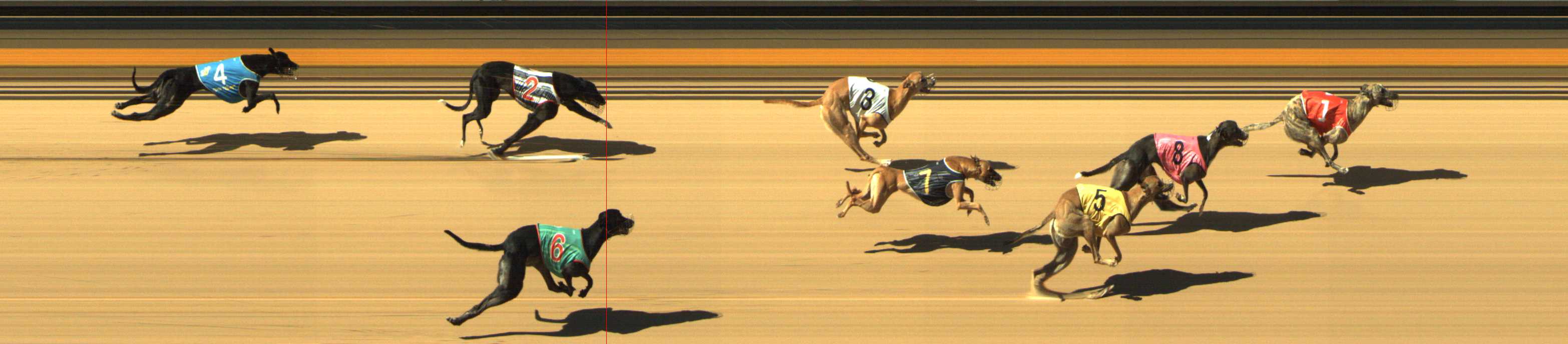 Photo finish for Shepparton Race 3