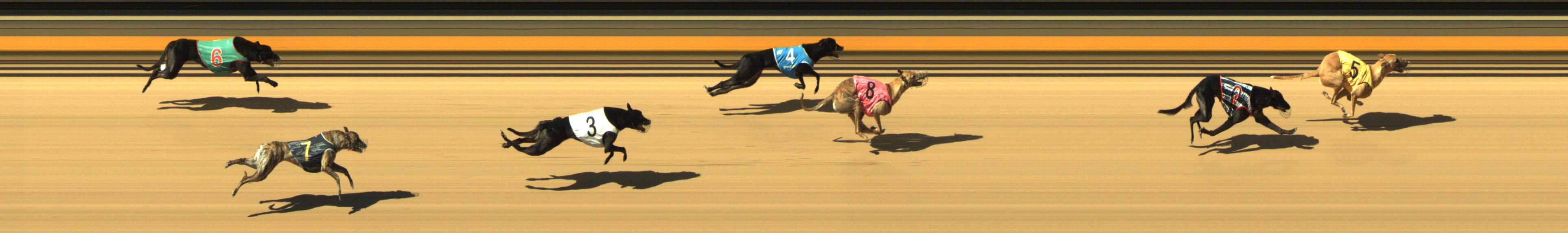 Photo finish for Shepparton Race 4