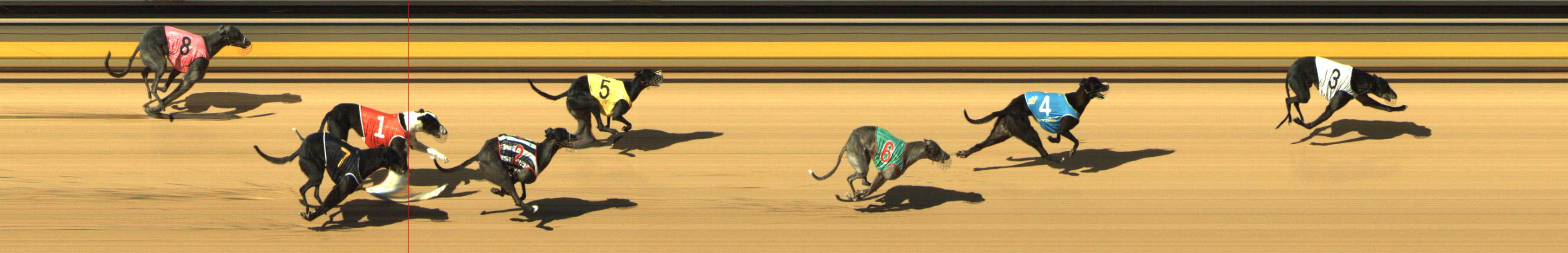 Photo finish for Shepparton Race 5