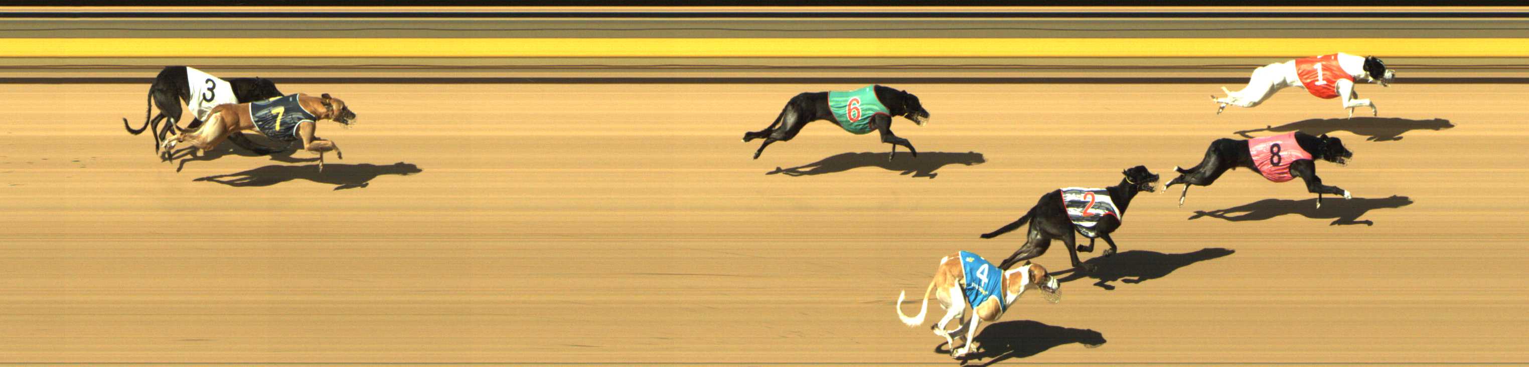 Photo finish for Shepparton Race 6