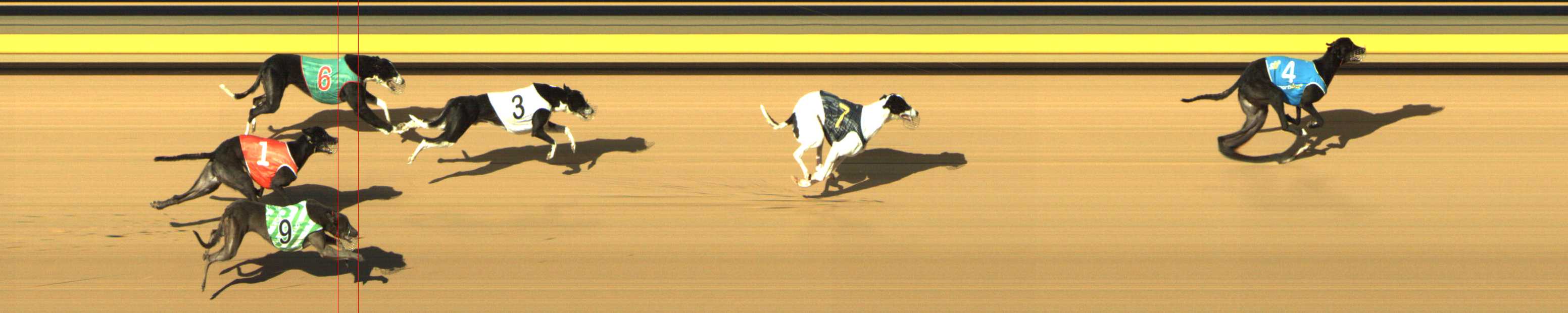 Photo finish for Shepparton Race 8