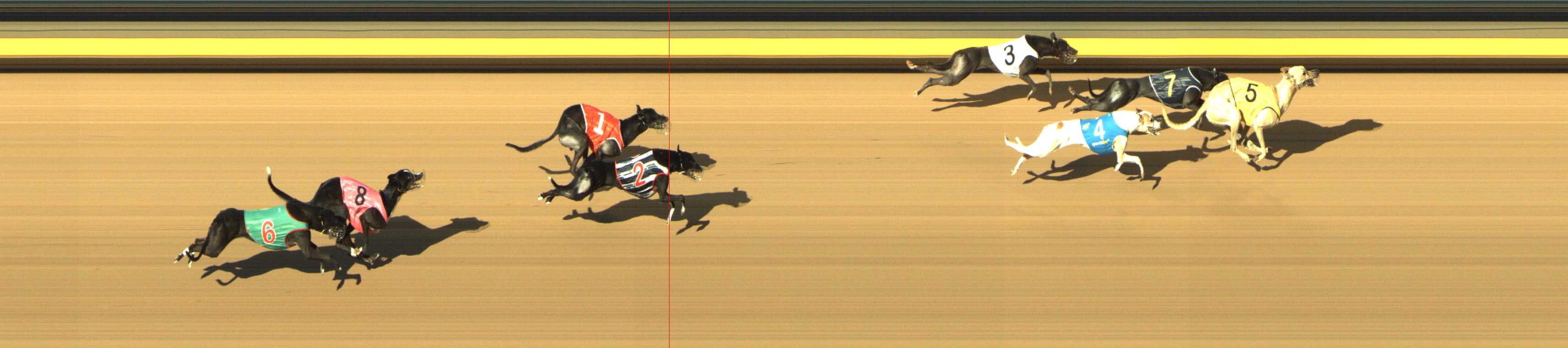 Photo finish for Shepparton Race 9