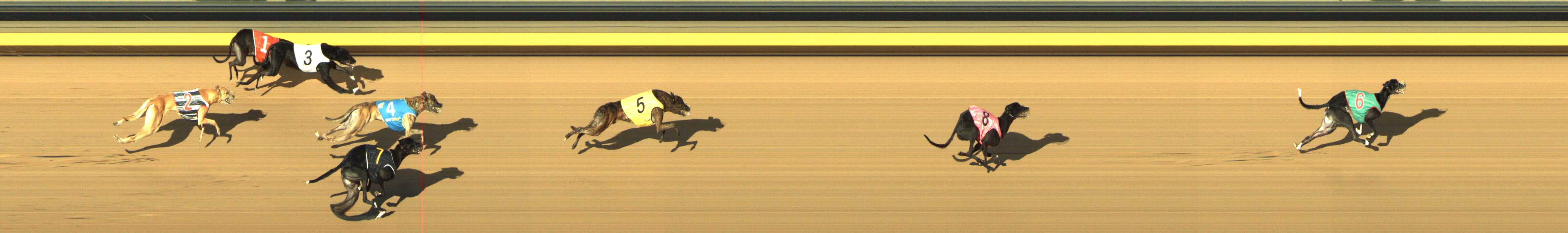 Photo finish for Shepparton Race 10