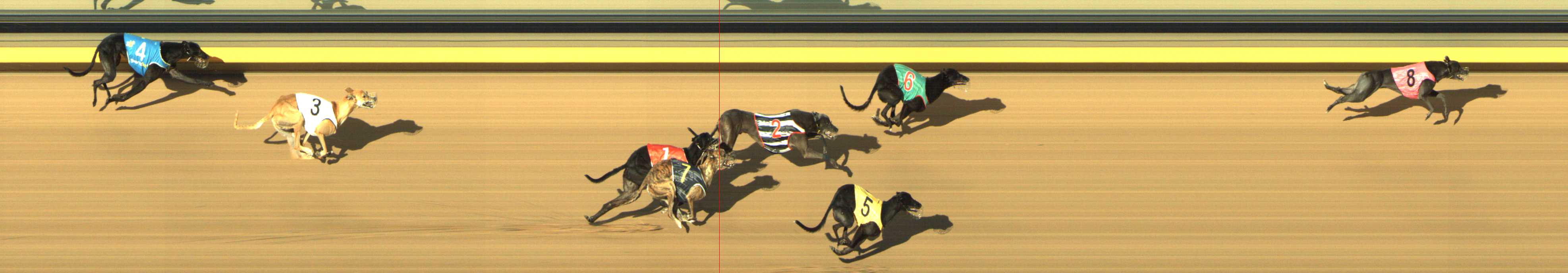 Photo finish for Shepparton Race 11