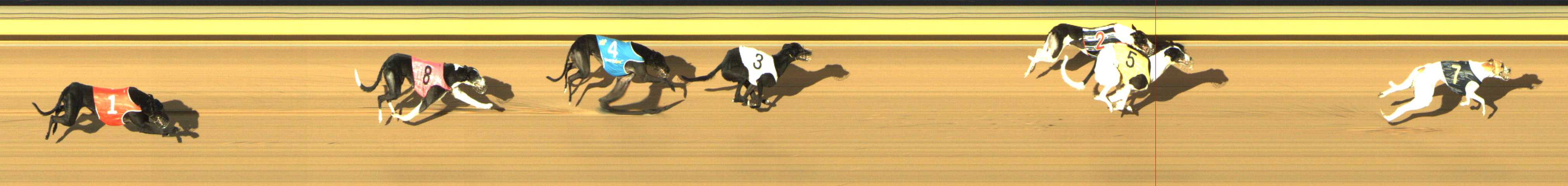 Photo finish for Shepparton Race 12