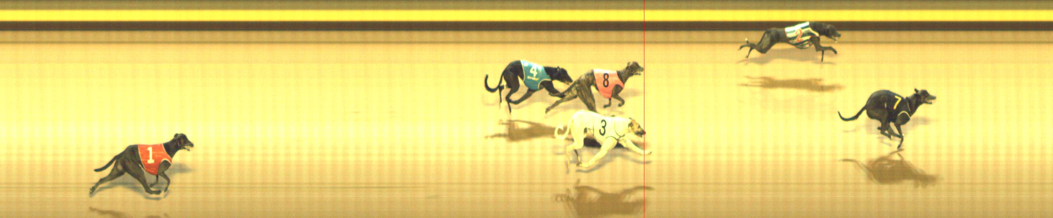Photo finish for Shepparton Race 1