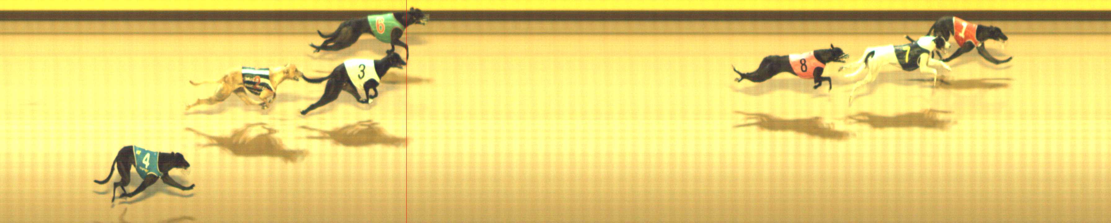 Photo finish for Shepparton Race 2